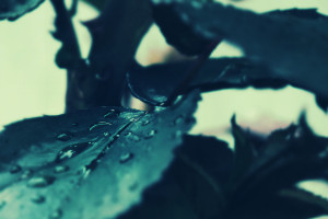 玩家笑了,市场疯了!电竞创意企划引爆新潮流 玩家笑了,市场疯了!电竞创意企划引爆新潮流