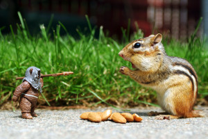 战队基地生活大揭秘，你的偶像竟是个“游戏宅男”！